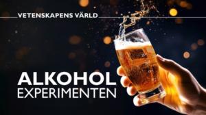 Alkoholikokeilu