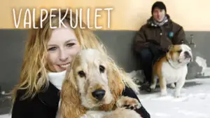 Spanielipentueen elämää