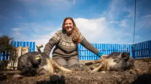 Elämää meren armoilla