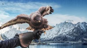 Eränkävijät: Alpeilta Arktiselle