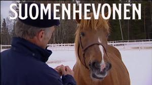 Suomenhevonen