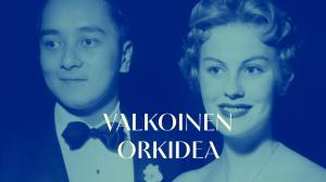 Valkoinen orkidea