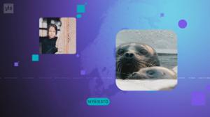 Yle Uutiset