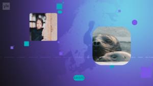 Yle Uutiset
