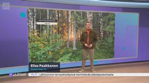 Sää