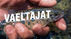 Vaeltajat