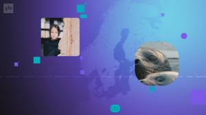 Yle Uutiset