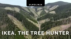 Totuus Ikeasta