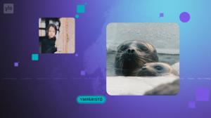 Yle Uutiset