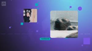 Yle Uutiset