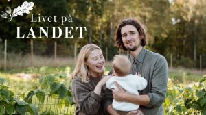 Kaipuu maalle