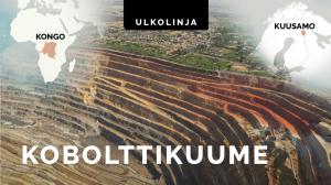 Kobolttikuume