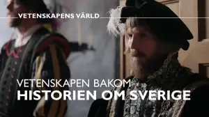 Tarina Ruotsin historiasta tutkijoiden silmin