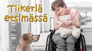 Tiikeriä etsimässä