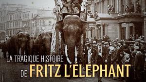 Fritz, norsun tarina