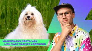 Watt Nytt