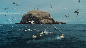 Avara luonto: Monimuotoinen Eurooppa