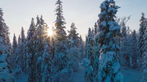 Avara luonto: Monimuotoinen Eurooppa