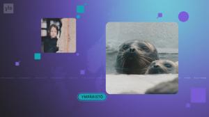 Yle Uutiset