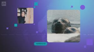 Yle Uutiset