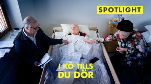 Spotlight