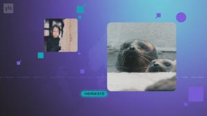 Yle Uutiset