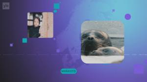 Yle Uutiset