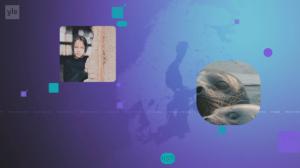 Yle Uutiset