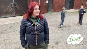 Livet - suomenruotsalaisia tarinoita