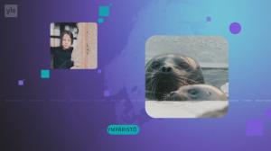 Yle Uutiset