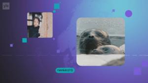 Yle Uutiset