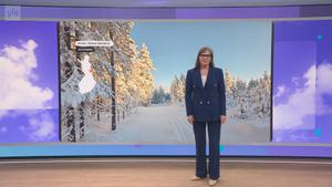Sää