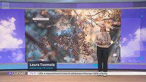 Sää