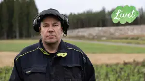 Livet - suomenruotsalaisia tarinoita