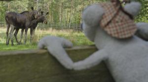 Mossen tutkimusretket