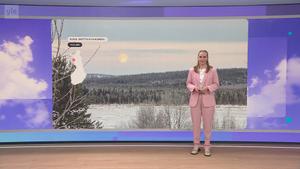 Sää