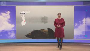 Sää