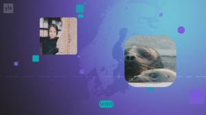 Yle Uutiset
