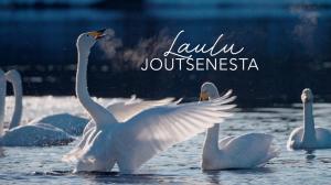 Laulu joutsenesta