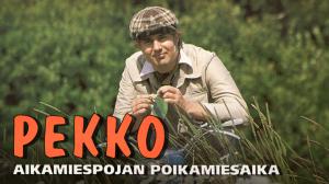 Pekko aikamiespojan poikamiesaika