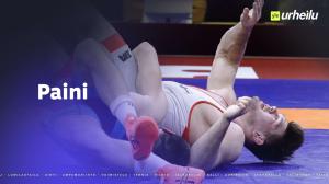 Paini