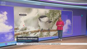 Sää