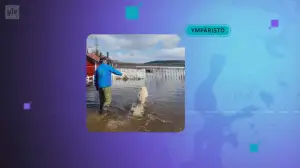 Yle Uutiset 7.30