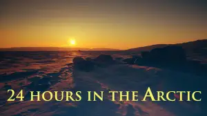 Avara luonto: Arktinen vuorokausi