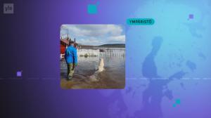 Yle Uutiset