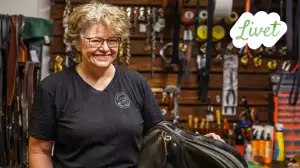 Livet - suomenruotsalaisia tarinoita