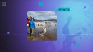 Yle Uutiset