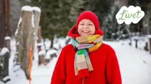 Livet - suomenruotsalaisia tarinoita