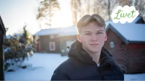 Livet - suomenruotsalaisia tarinoita