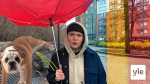 Folk har tagit djur under coronavåren som de inte kan ta hand om: 17.11.2020 16.55